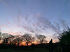 IMG_5675.jpeg
