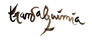 image Transalquimia_logo_web.png (77.8kB)