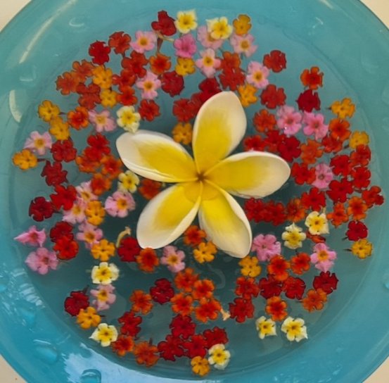 fleurs flottantes