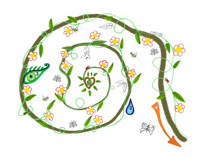 image Spirale_evolutive.jpg (1.2MB)