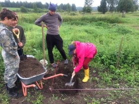 digging